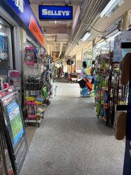 Brickworks Estate (D3), Shop House #539534041